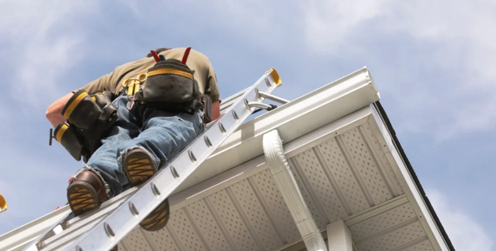 Gutter Cleaning Services