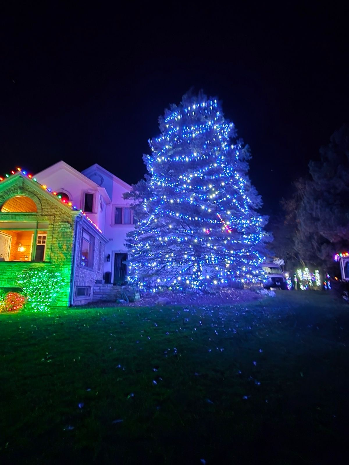Large Christmas tree lighting with Govee display