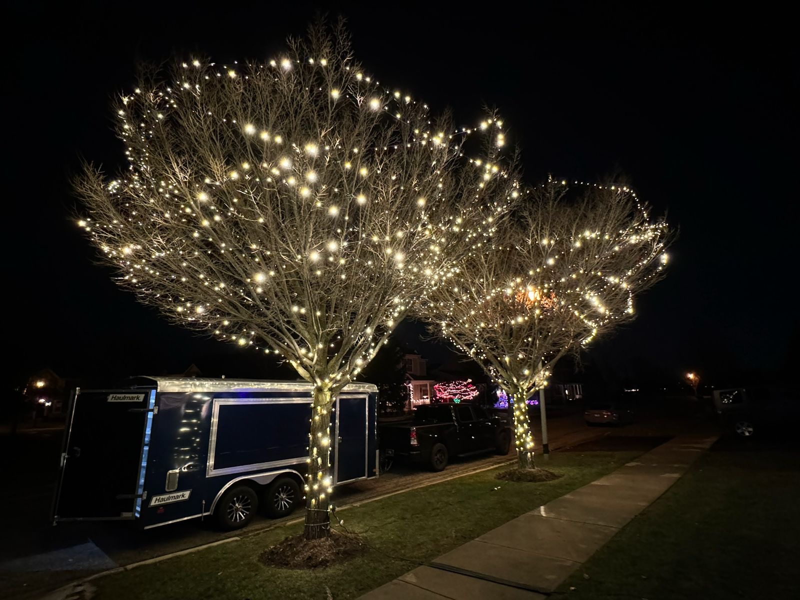 Professional tree wrapping with lights - Deerfield