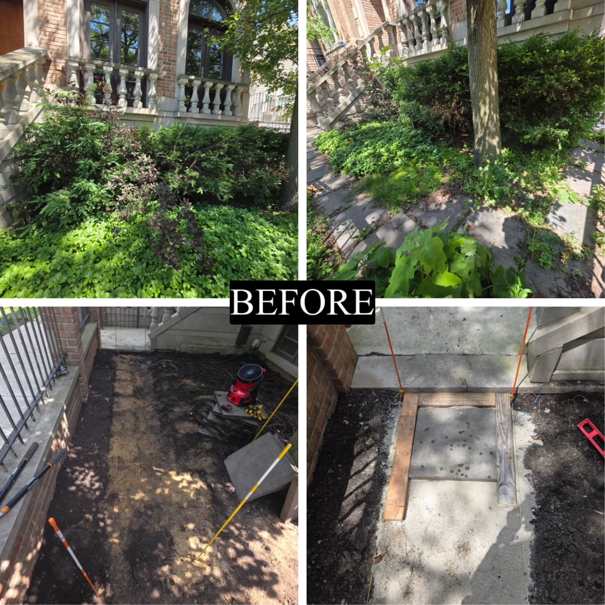 Chicago garden transformation
